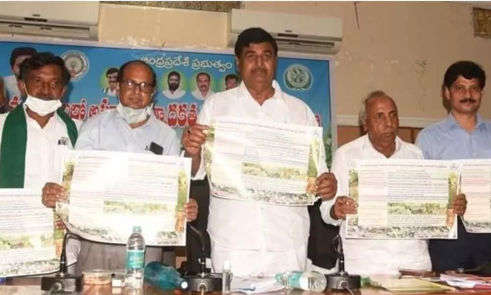 Deputy Chief Minister D Krishna Das and others releasing pamphlets on ID crops in Srikakulam on Saturday