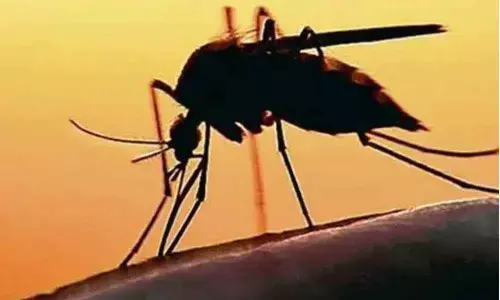 For representational purpose only