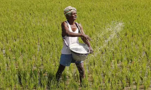 Over 6 lakh farmers to get subsidy