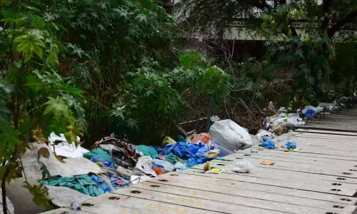 Garbage dumped on the roadside