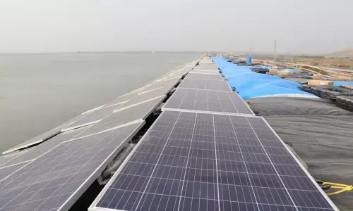 Government directive on must-run solar power plants: Centres fiat set to hit Transco, Genco
