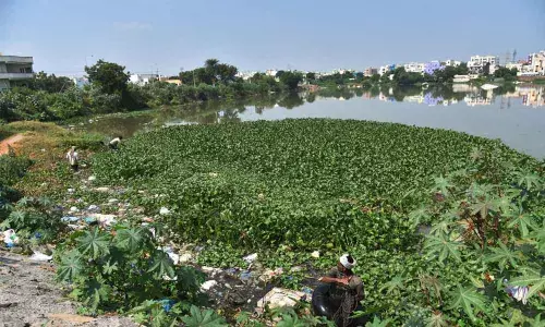 Photos: Adula Krishna