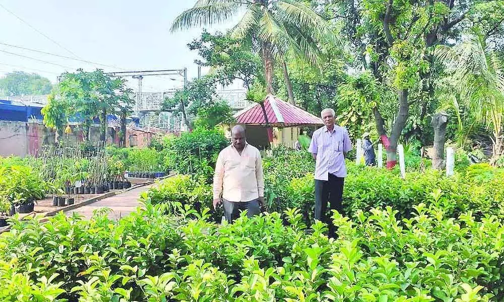 Agri-Horticultural Society to usher in green revolution