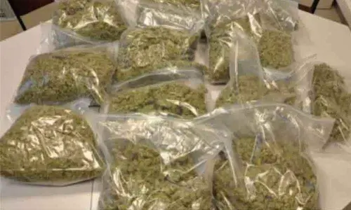 110 kg of ganja seized in LB Nagar