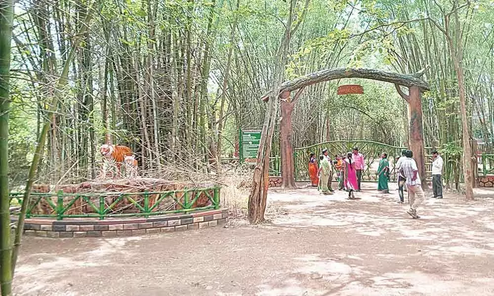 Entrance to the Jungle Safari