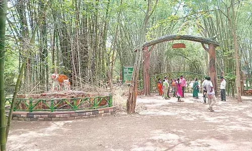 Entrance to the Jungle Safari