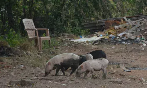 RK Puram Colony bereft of basic civic facilities