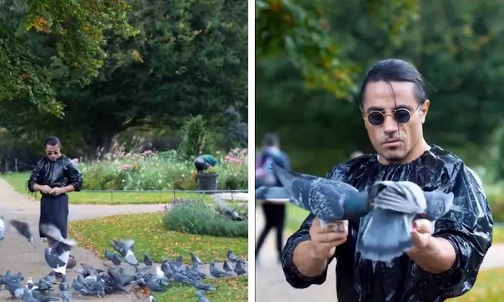 The Trending Video Of Turkish Chef Wearing Garbage Bag While Feeding Pigeons
