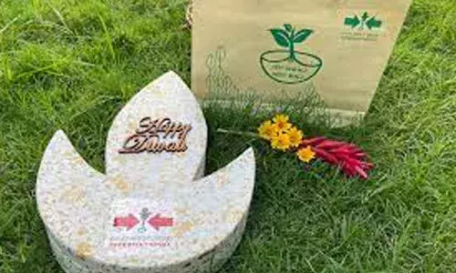 Yeh Diwali Seed Wali: Light a diya, grow a plant, save planet