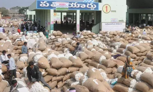 Telangana sitting on ‘white gold’ mine