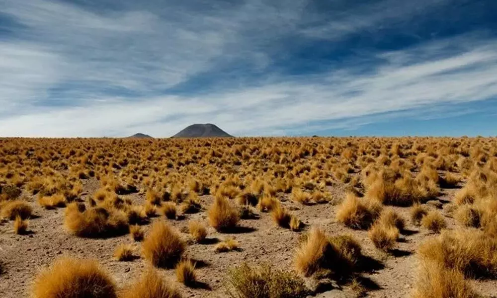The Atacama desert. (Hans Neleman/Getty Images)
