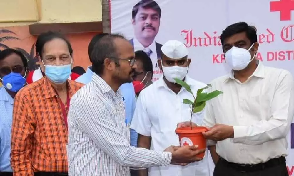Krishna District Collector J Nivas handing over saplings to the heads of educational institutions in Vijayawada on Tuesday