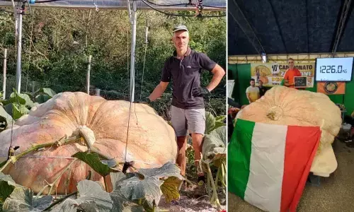Pumpkin Heavier Than A Small Car Holds A New Guinness World Record