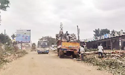 Activists oppose forest dept’s move to fell 5,113 trees for road project