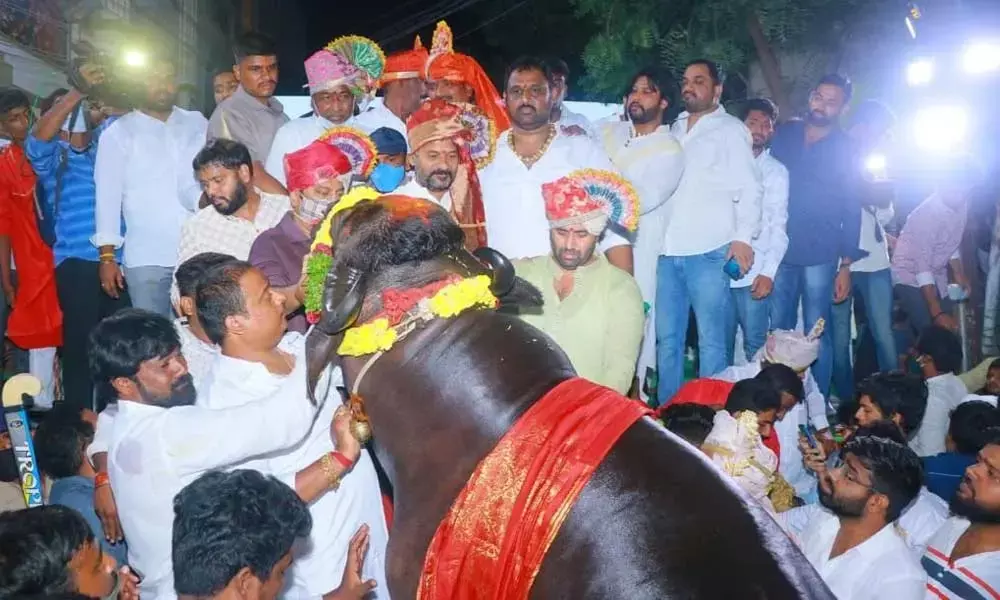 Hyderabad reverberates with Sadar festivities