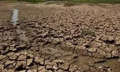 Need for a policy framework that can drought-proof Anantapur