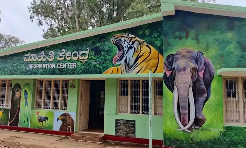 Forest dept gets its buildings painted with animal world