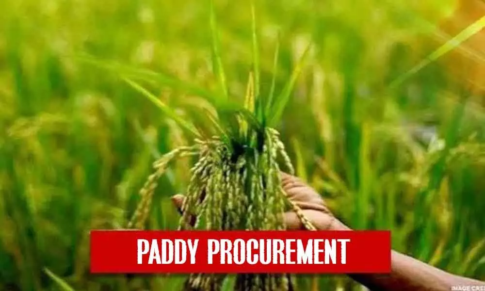 PADDY PROCUREMENT