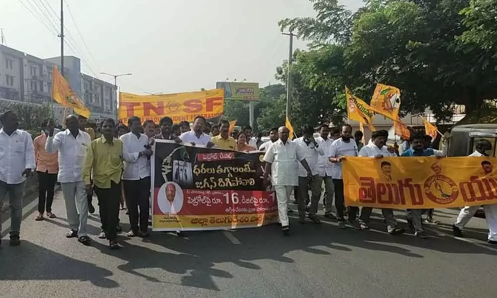 TDP activists taking out a rally in Mantralayam in Kurnool district on Tuesday