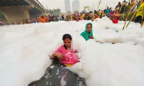 Delhi govt installs bamboo nets, sprinkles water to remove froth