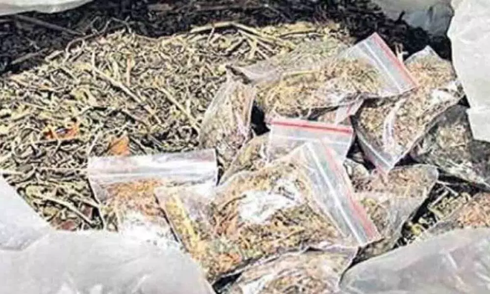 Ganja worth Rs 1 crore seized in Malkajgiri