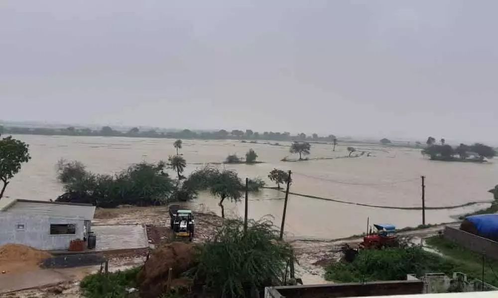 Agriculture fields under floodwater Kesinagunta on the SHAR road close to Sullurpet in Nellore district