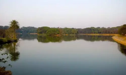 363 lakes full of water in Bandipore Tiger Reserve