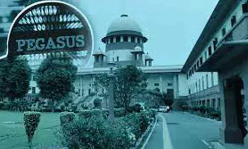 Government to cooperate with Pegasus panel