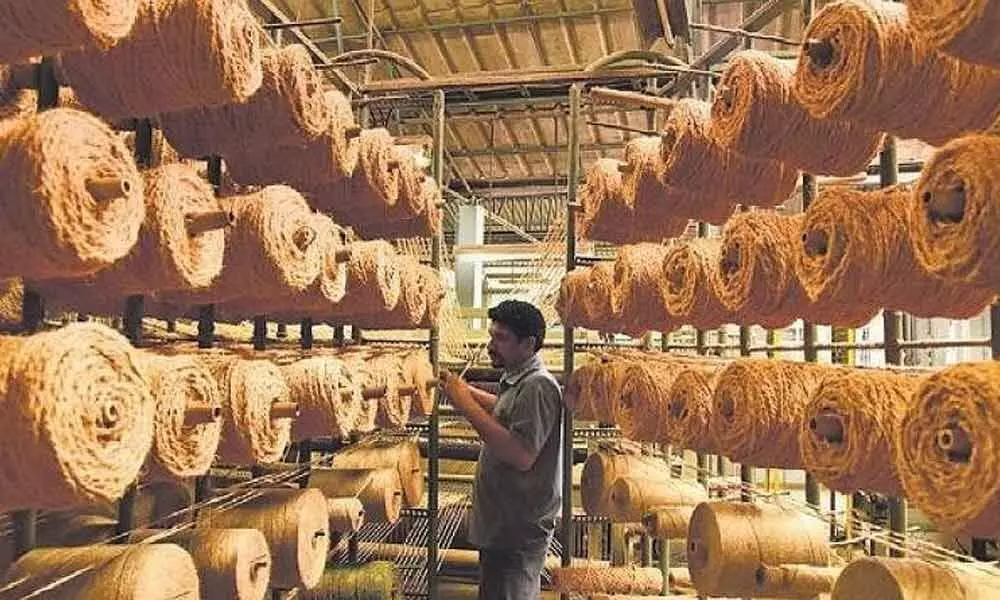 Coir business to be hit as TNPCB puts it in polluting industry category