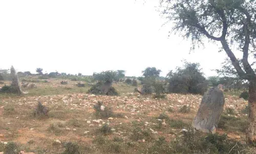 Menhirs, the Iron Age monuments, wallow in neglect