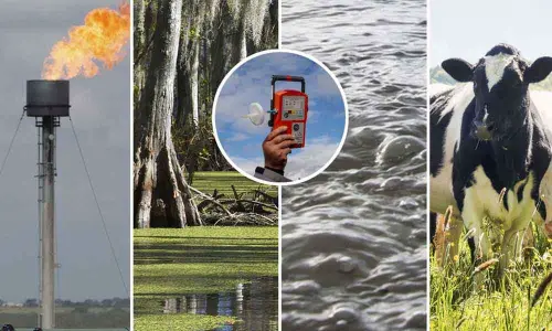 About 25 per cent of global warming is caused by methane emissions