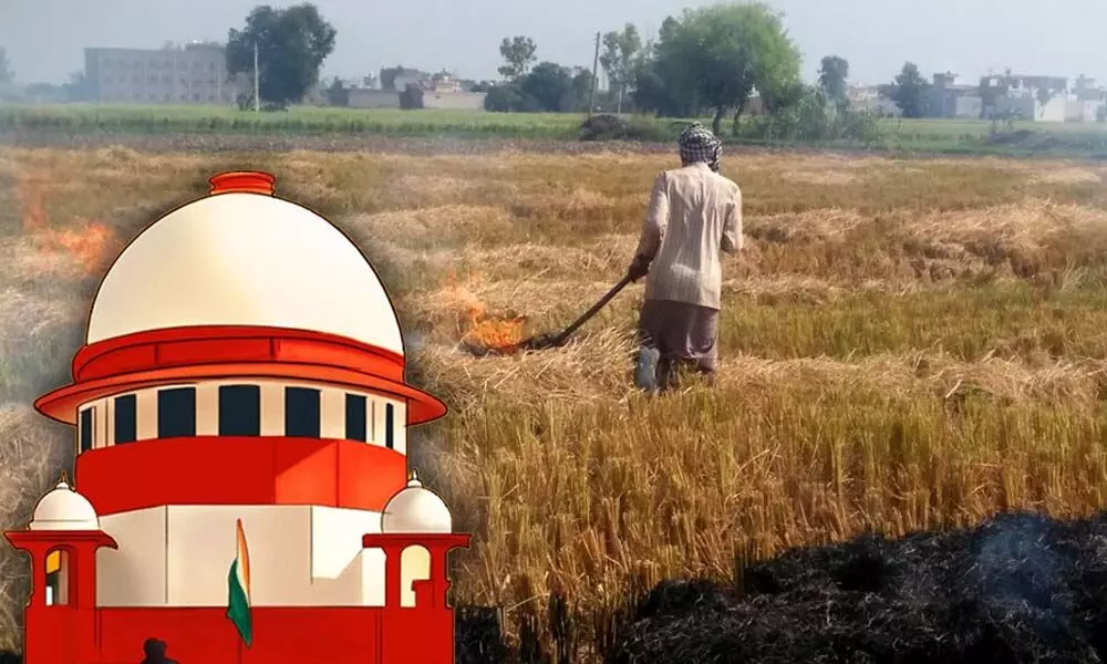 Centres affidavit on air pollution in Supreme Court points at contradictions on stubble burning