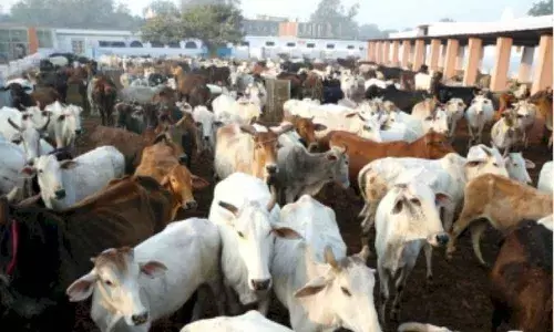 Representational Image