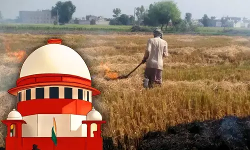 Centres affidavit on air pollution in Supreme Court points at contradictions on stubble burning