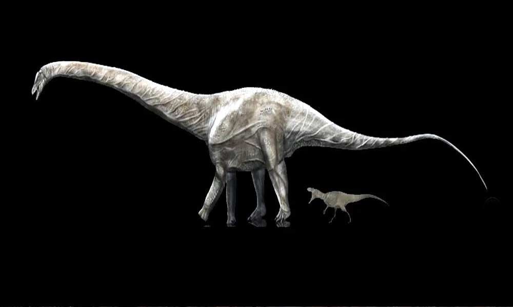 longest living dinosaur