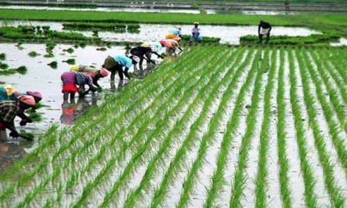 Representational Image