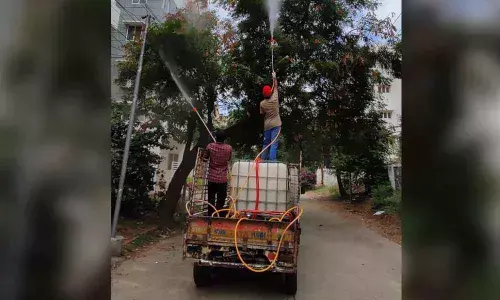 GHMC special drive to save neem trees