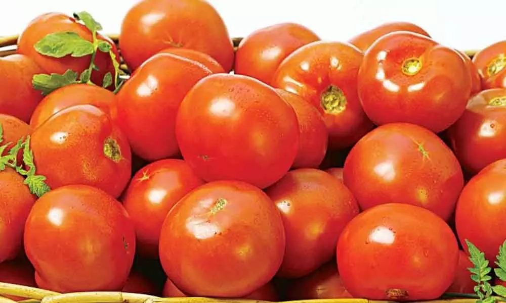 Tomato costs Rs 100 a kg in Bengaluru and other parts of the State