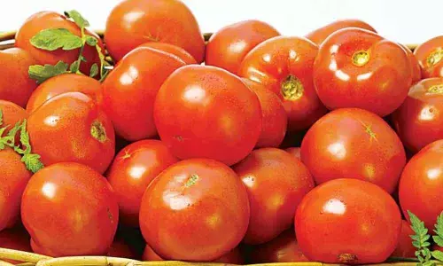 Tomato costs Rs 100 a kg in Bengaluru and other parts of the State