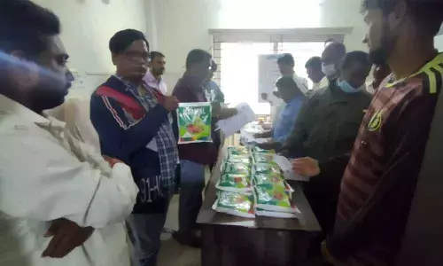 Drive rolled out to save neem  trees from ‘dieback’ disease