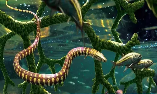 An artistic reconstruction of Tetrapodophis amplectus in an aquatic environment. (Julius Csotonyi)