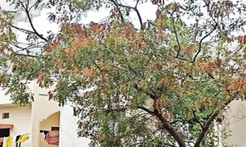 Will we have Ugadi sans bitterness ?