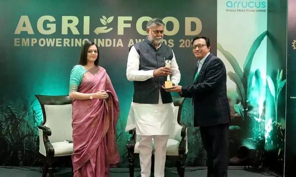 Waterbase bags agri food award