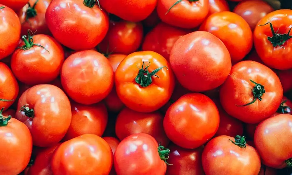 Prices of tomatoes come down