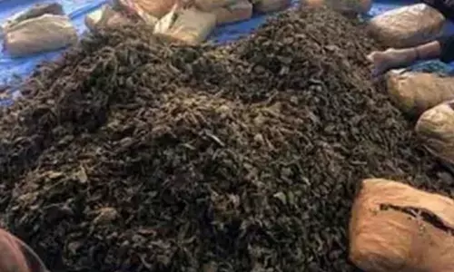 Five held in Vizag for online supply of ganja
