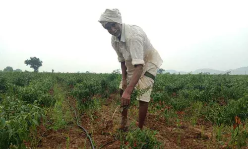 Representational Image