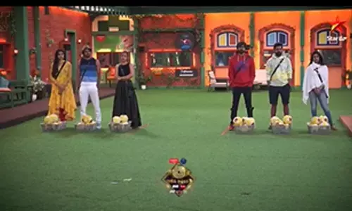 Bigg Boss Telugu: 5 members in the nominations!