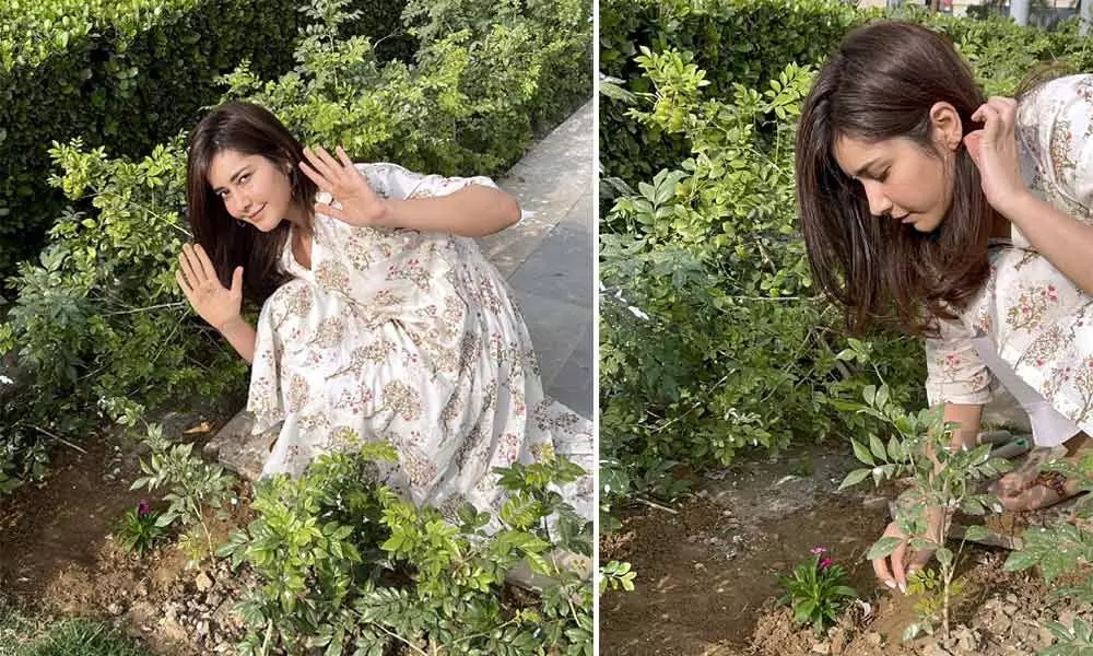 Glam doll Raashii Khanna turned 31 today and planted a sapling on this special day!