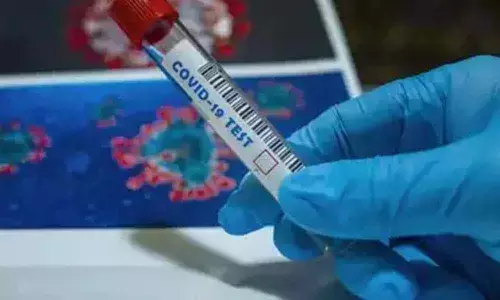 Karnataka logged 291 new Covid-19 cases, 8 deaths