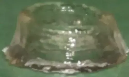 3D Printer Prints Living Blobs Using Ink Made From Microbes